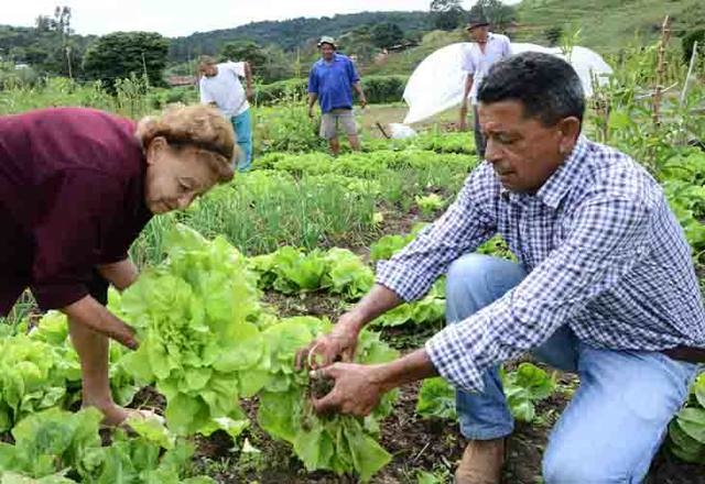 Como lojistas do Brás, 25 de Março e Ceasa estão lidando com a