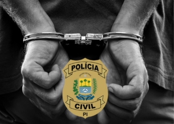 Foto: Reprodução Assessoria de Comunicação da Policia Civil.