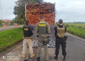 Foto: Reprodução Comunicação Social da Polícia Federal no Pará.