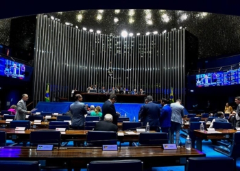 Plenário do Senado/Foto: Waldemir Barreto/Agência Senado/Fonte: Agência Senado.